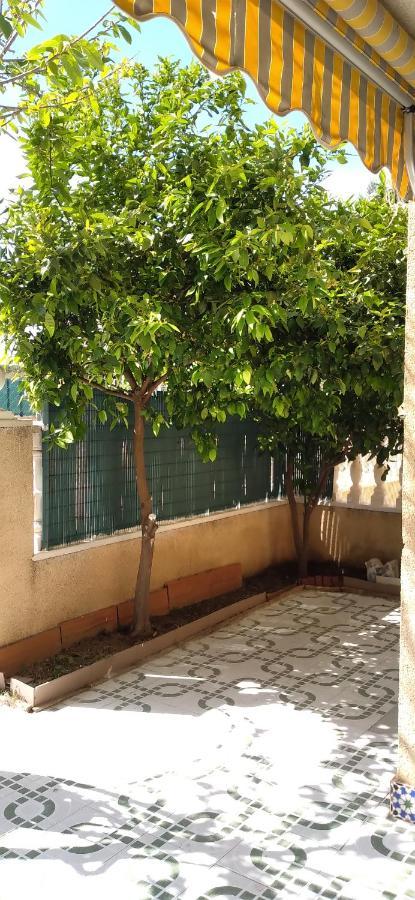 Apartement A La Mata تورّيفيِخا المظهر الخارجي الصورة