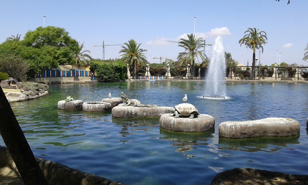 Apartement A La Mata تورّيفيِخا المظهر الخارجي الصورة